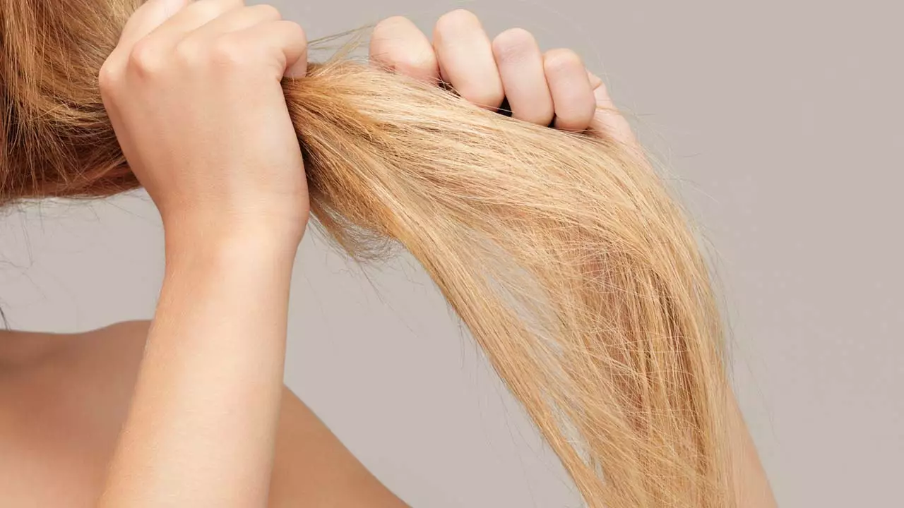 Cabelos secos os segredos das profissionais para ter cabelos macios e hidratados