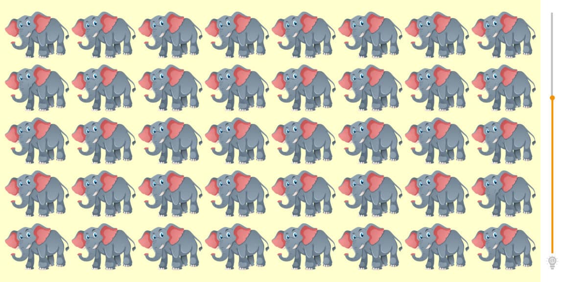 Prove que você é um gênio e encontre os 2 elefantes diferentes em 60 segundos