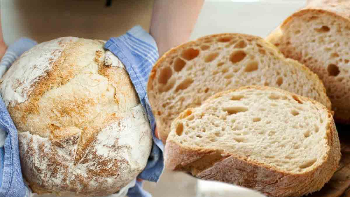Evite cometer esse erro na hora de congelar seu pão