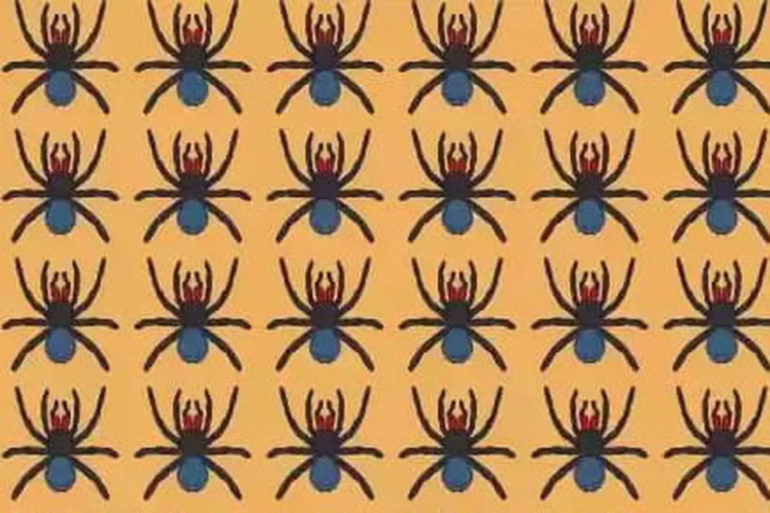 Você é Perspicaz? Demonstre localizando a aranha diferente em apenas 12 segundos!