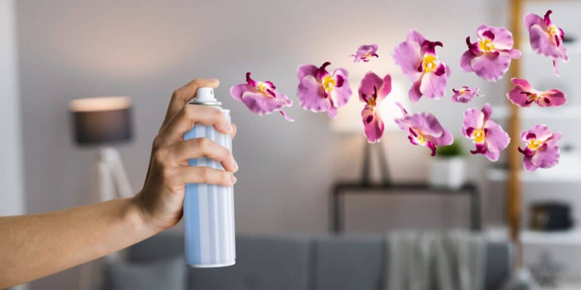 Como desodorizar e perfumar o seu interior com um truque simples e natural?