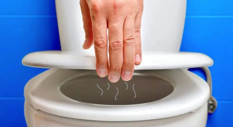 O truque pouco conhecido que limpa banheiros melhor do que água sanitária