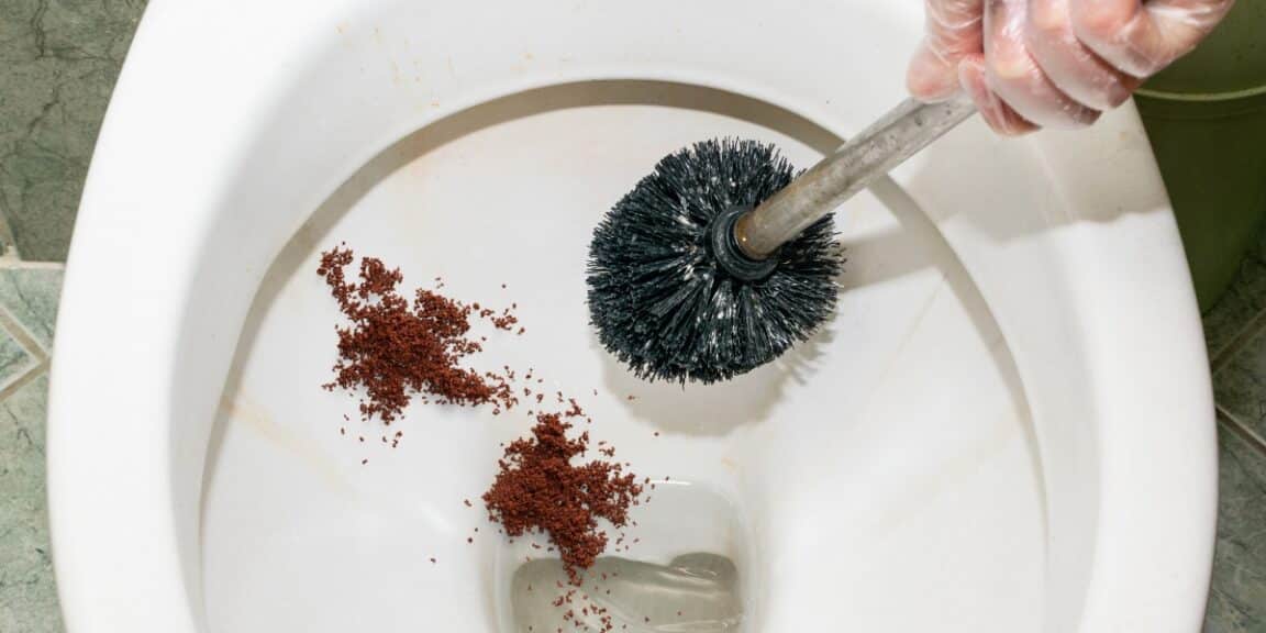 Como limpar o fundo do vaso sanitário e desodorizar com borra de café?