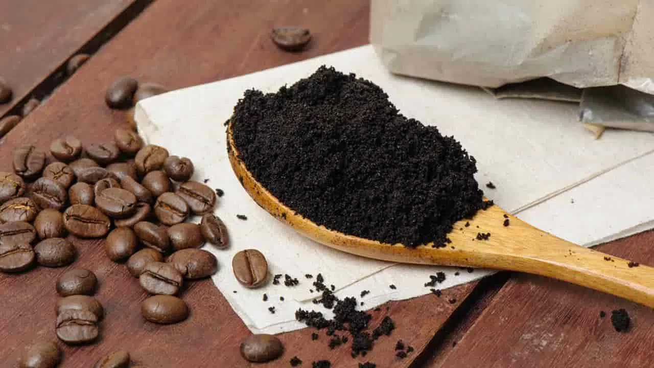 Como a borra de café pode ser útil na limpeza cozinha