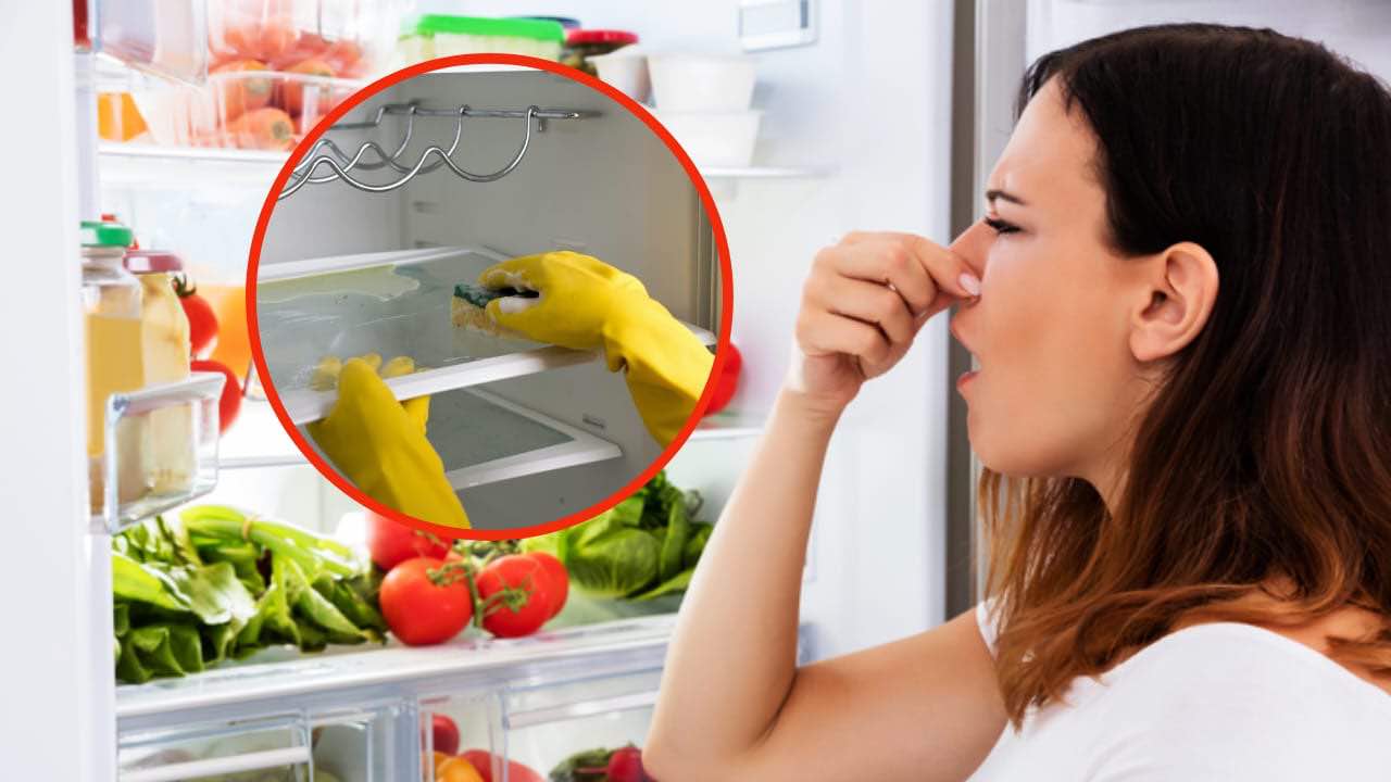 Limpeza natural da geladeira