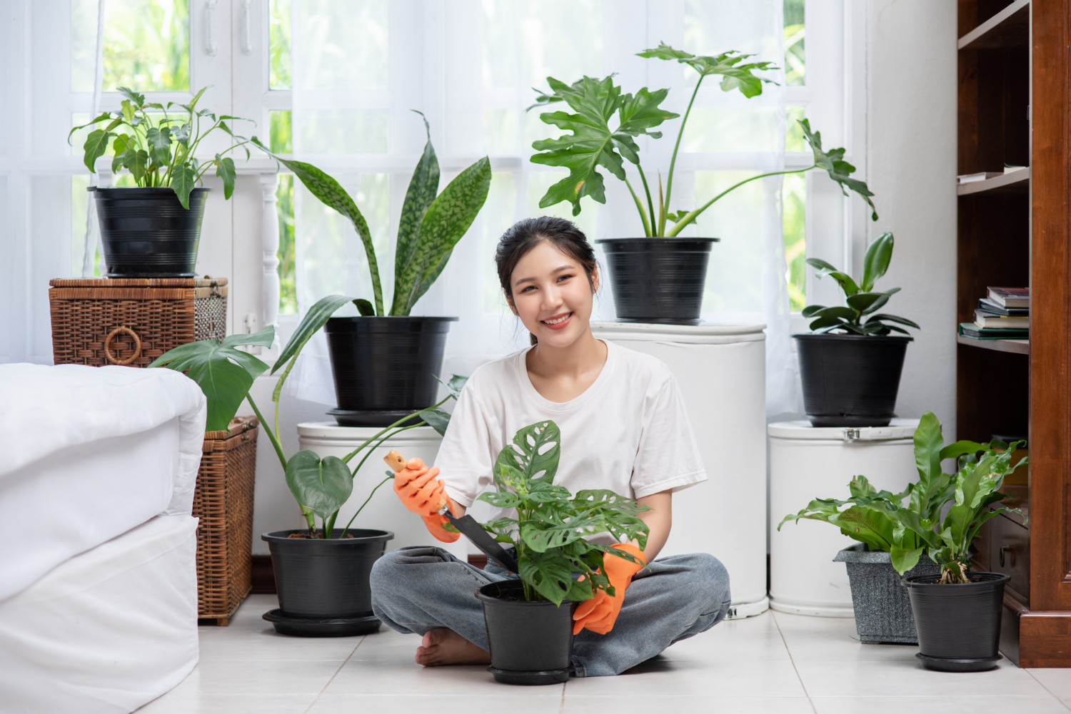 6 plantas ornamentais adequadas para cuidar em um apartamento