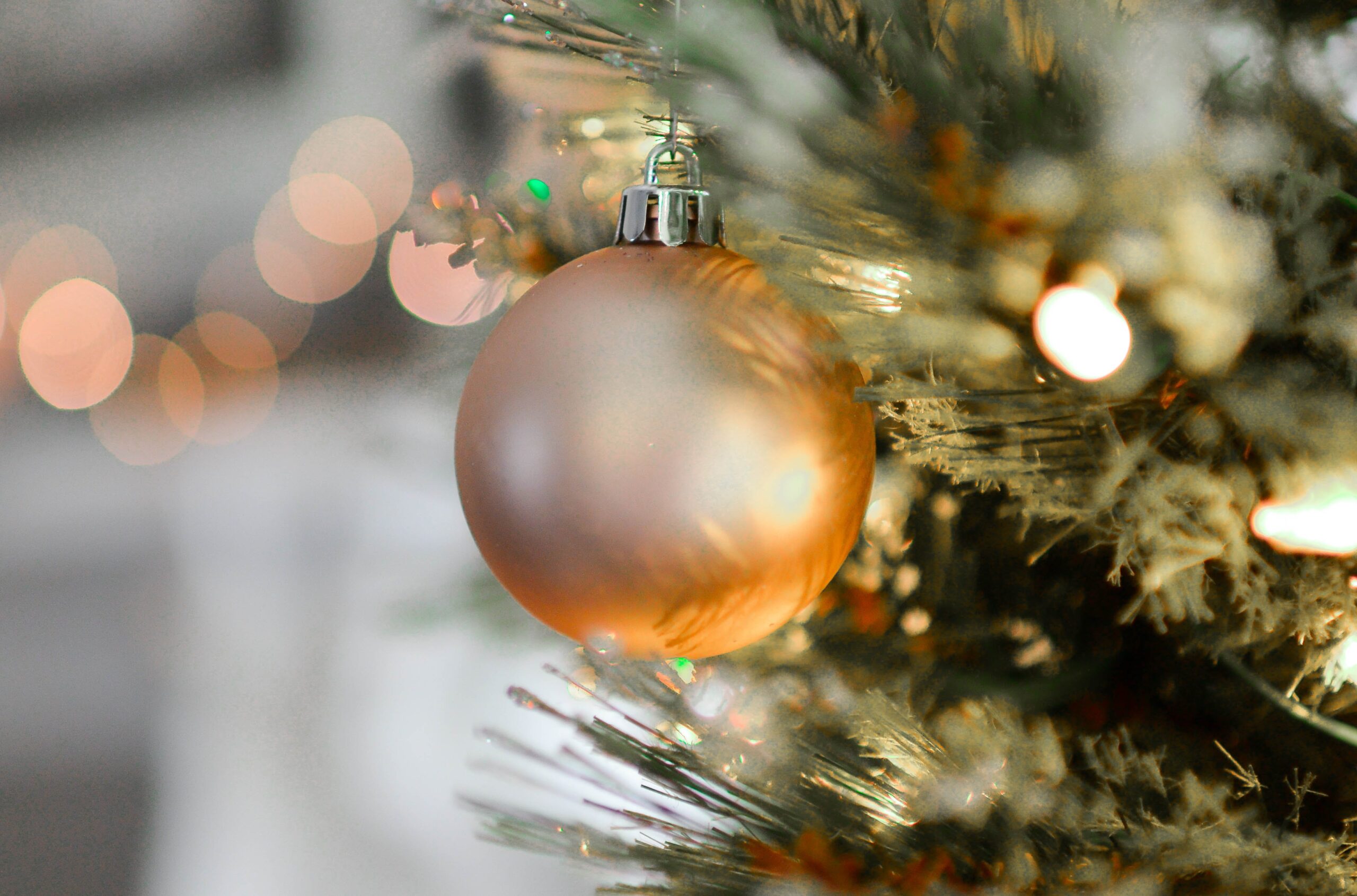 Você sabe qual o dia certo para se montar a árvore de Natal?