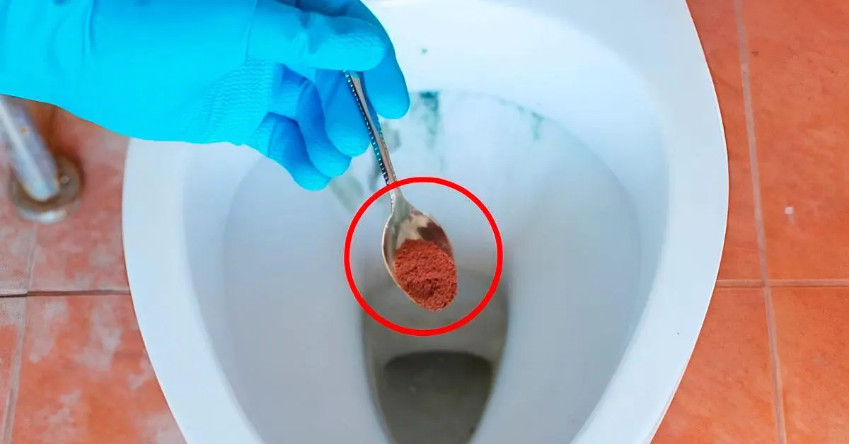 Por que você deve colocar borra de café no vaso sanitário?
