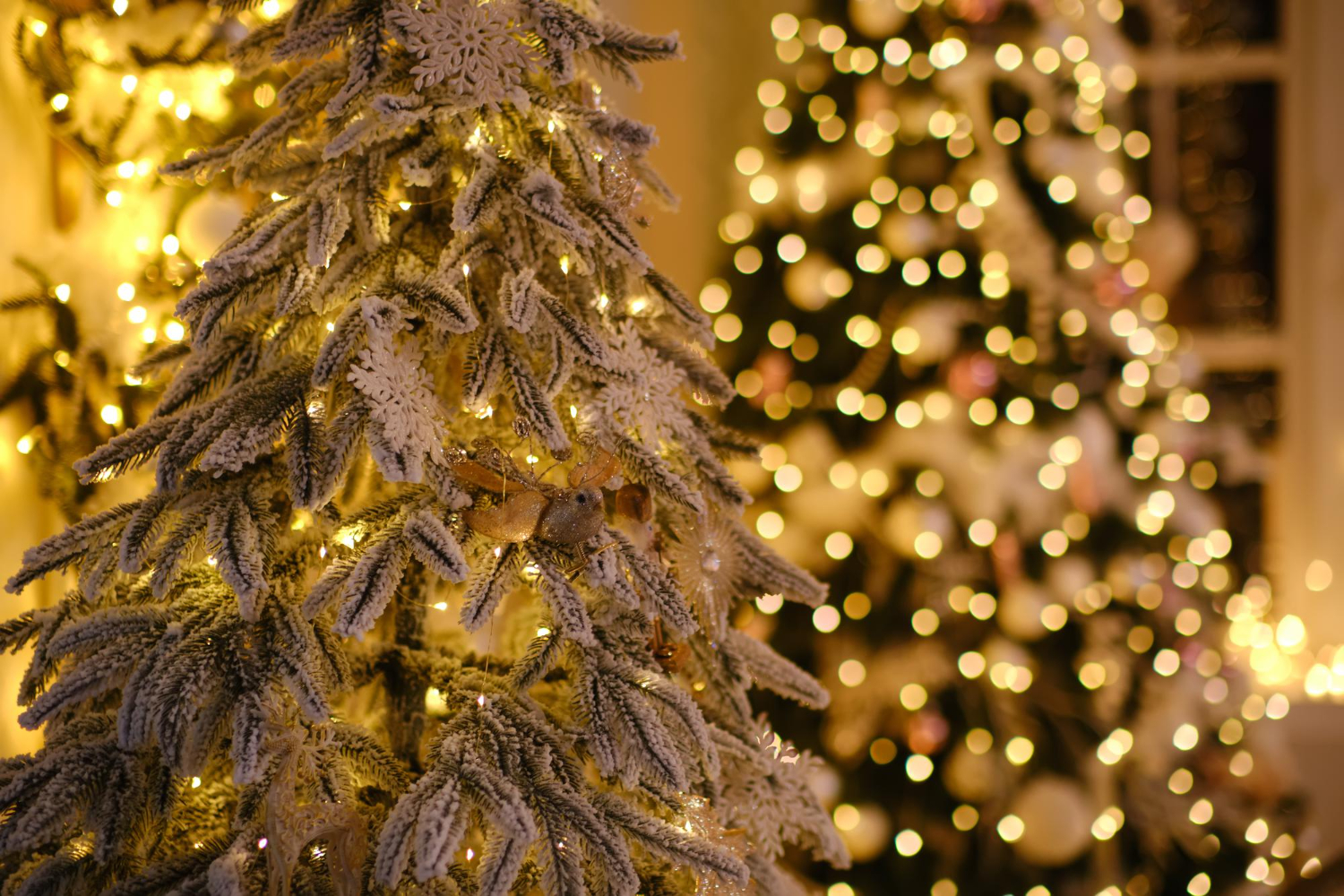 4 estilos populares de árvores de Natal este ano