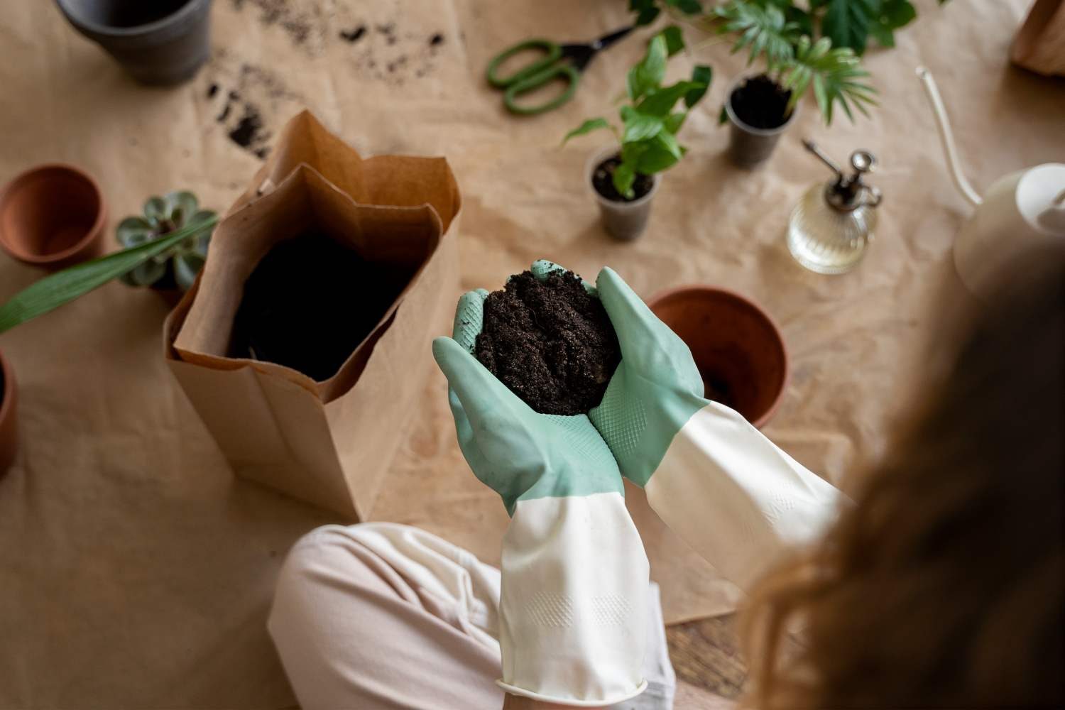 Como o café pode ser útil para eliminar as pragas do seu jardim?