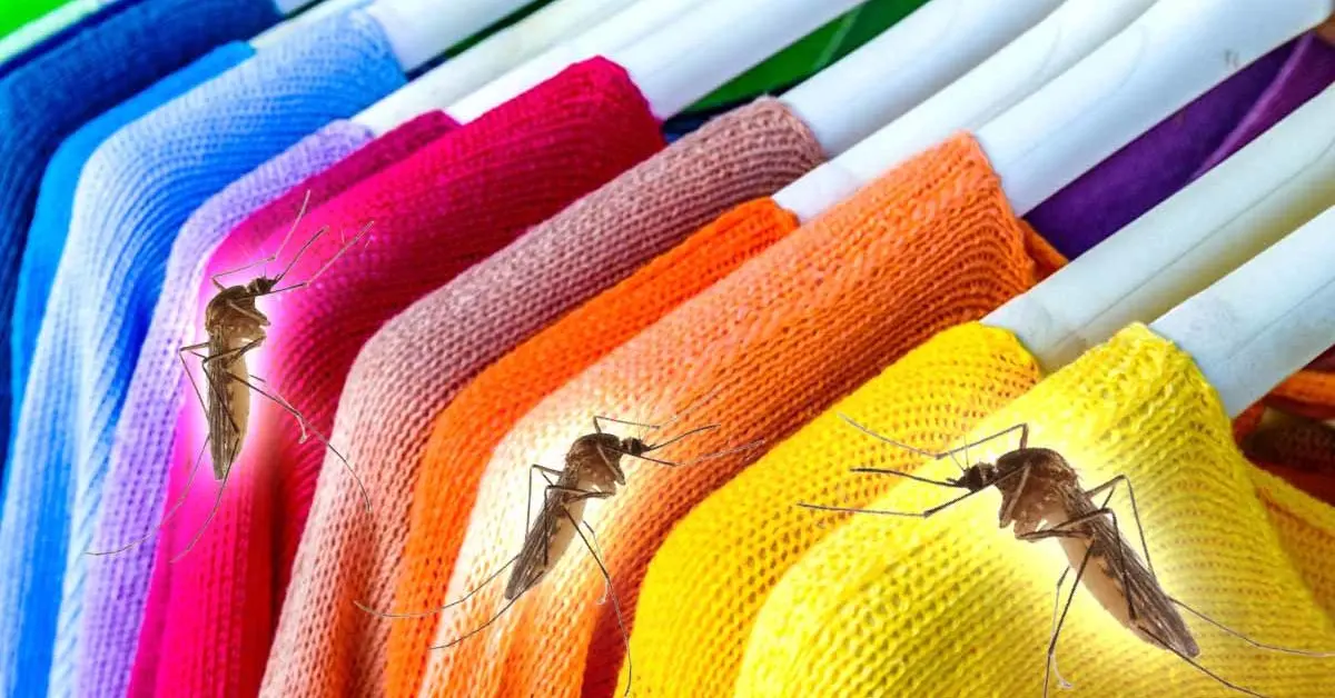 Quais cores atraem os mosquitos?