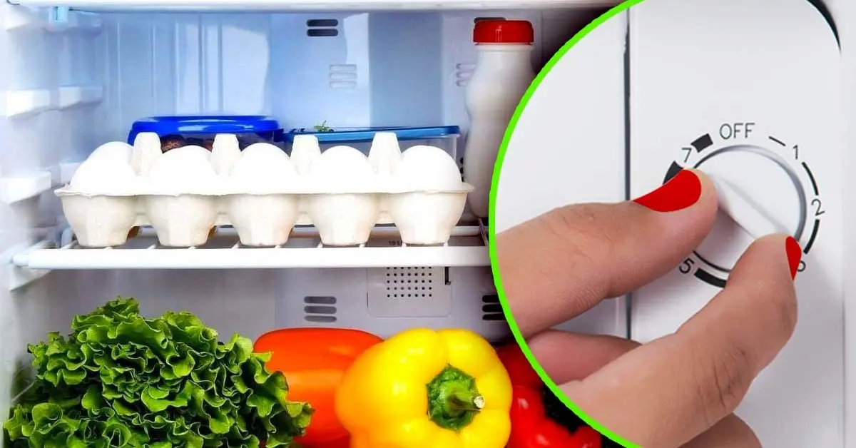 Para que temperatura você deve ajustar a geladeira no verão?