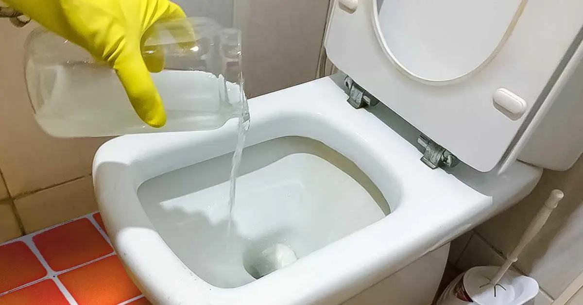 Como desentupir vasos sanitários com bicarbonato de sódio e vinagre branco?