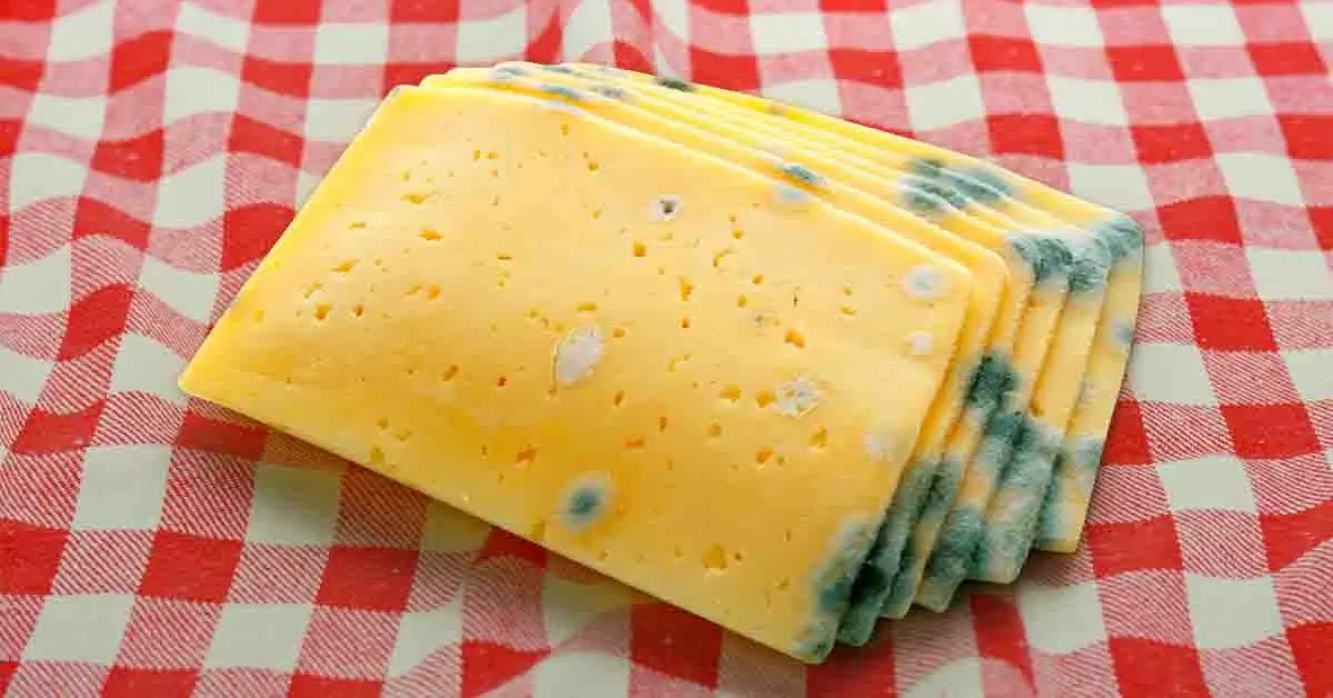 Como você evita que o queijo fique mofado?