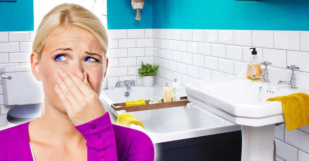 5 dicas para evitar maus odores no banheiro