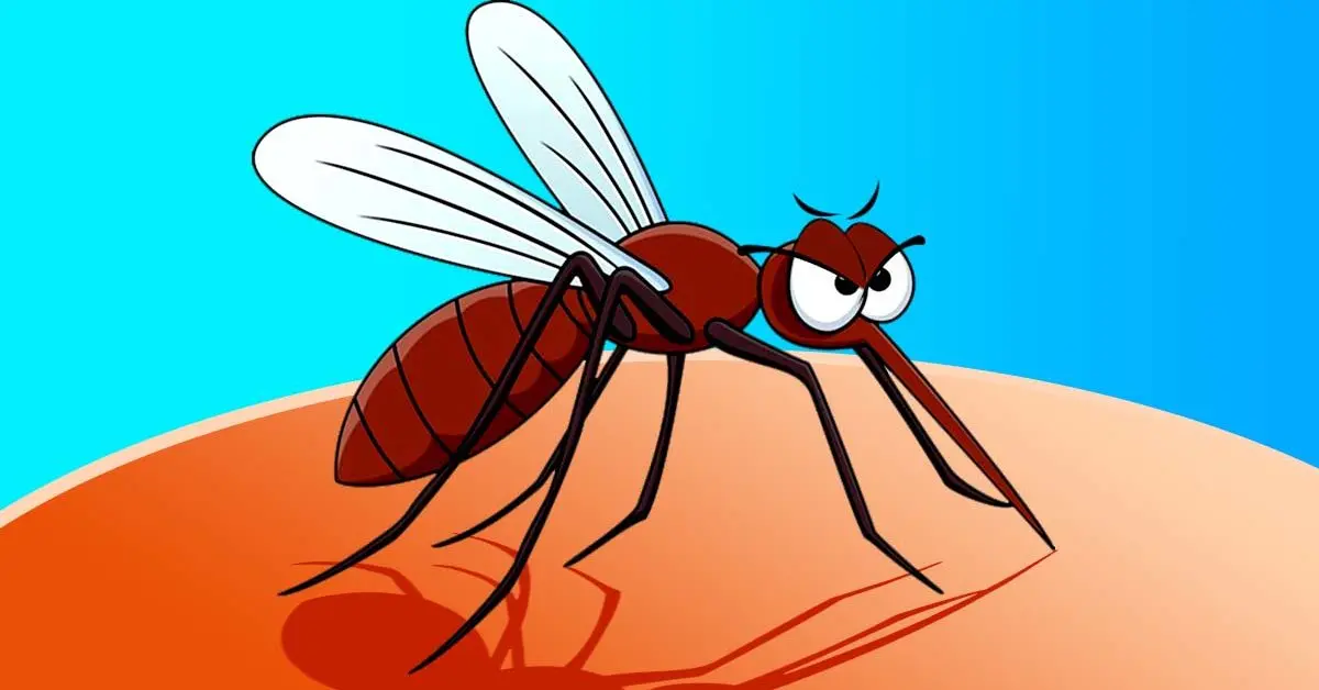 Como evitar picadas de mosquito neste verão?