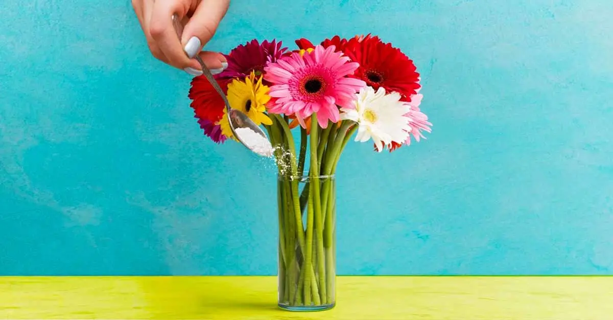 Como prolongar a vida das flores em um vaso?