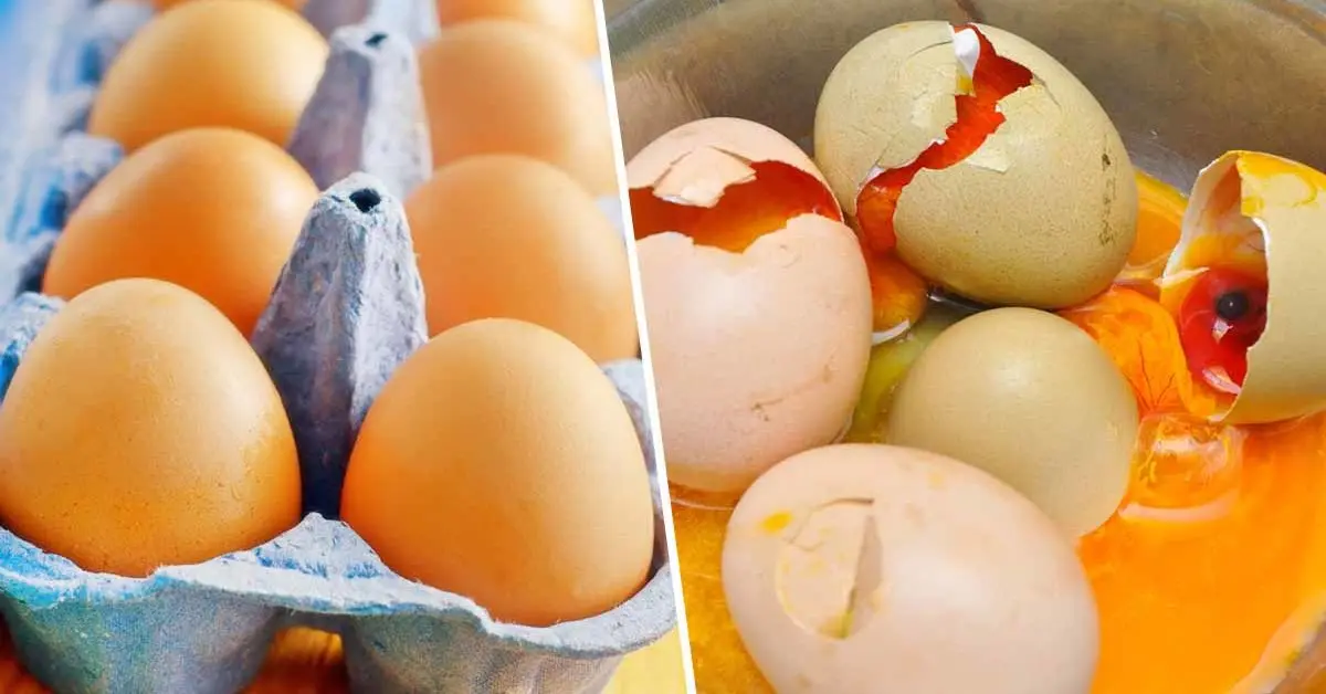 Como reconhecer um ovo vencido antes de comê-lo? 2 métodos que funcionam