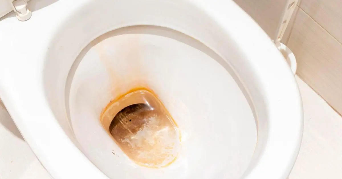 Como remover o calcário do fundo do vaso sanitário para que pareça novo?