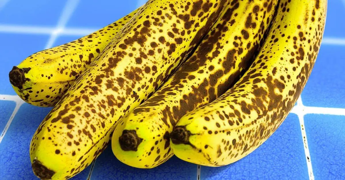 O que fazer com bananas maduras? 9 dicas anti-desperdício