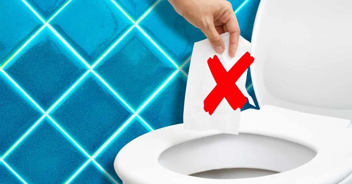 Você pode jogar um rolo de papel higiênico no vaso sanitário?