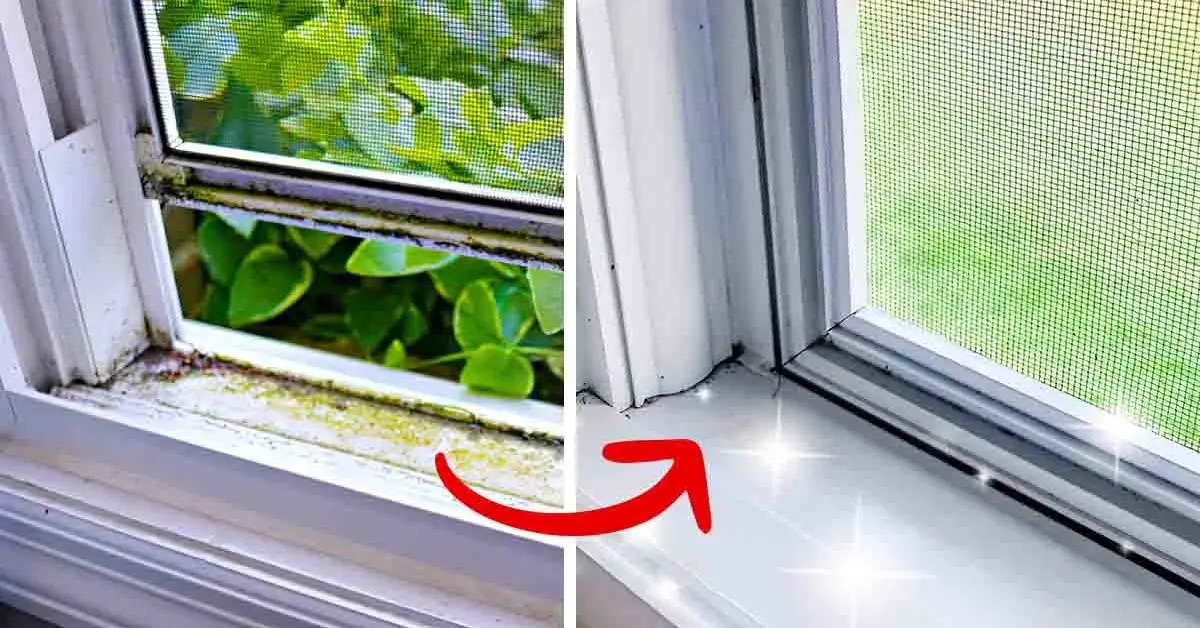 Como limpar as vedações das janelas e se livrar de toda a sujeira