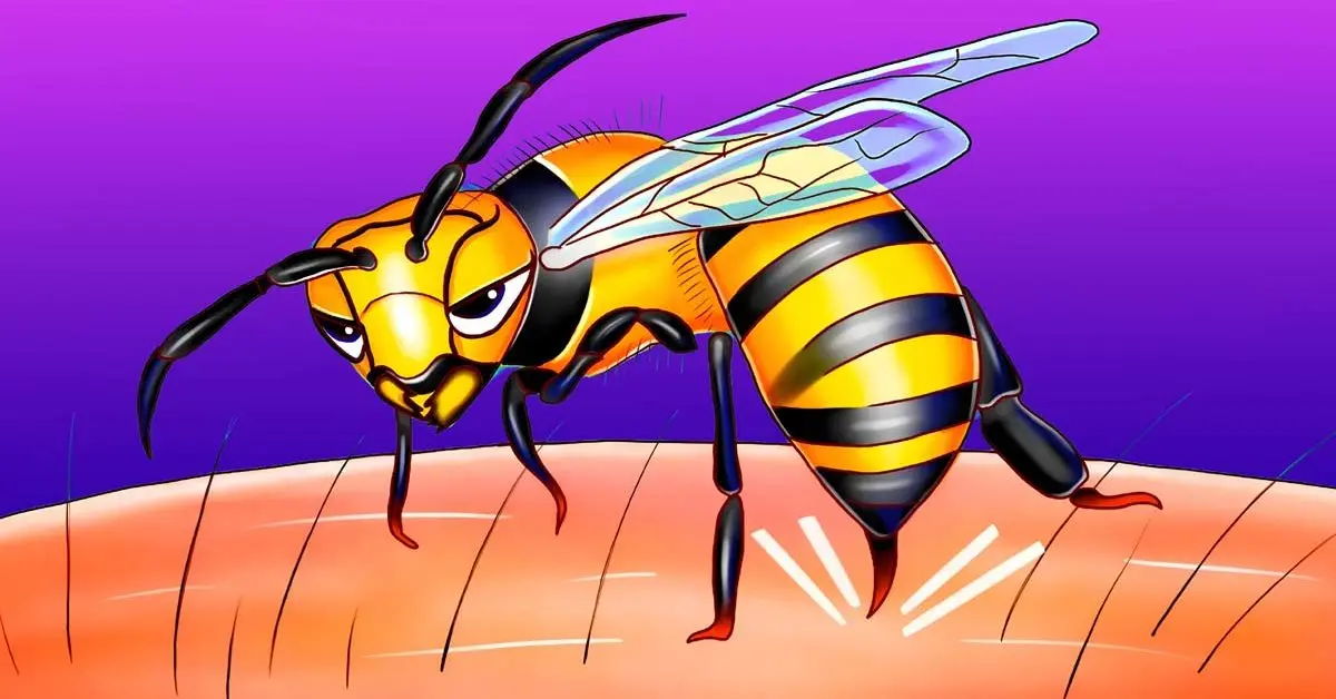 Como manter vespas e vespas longe do seu jardim naturalmente?