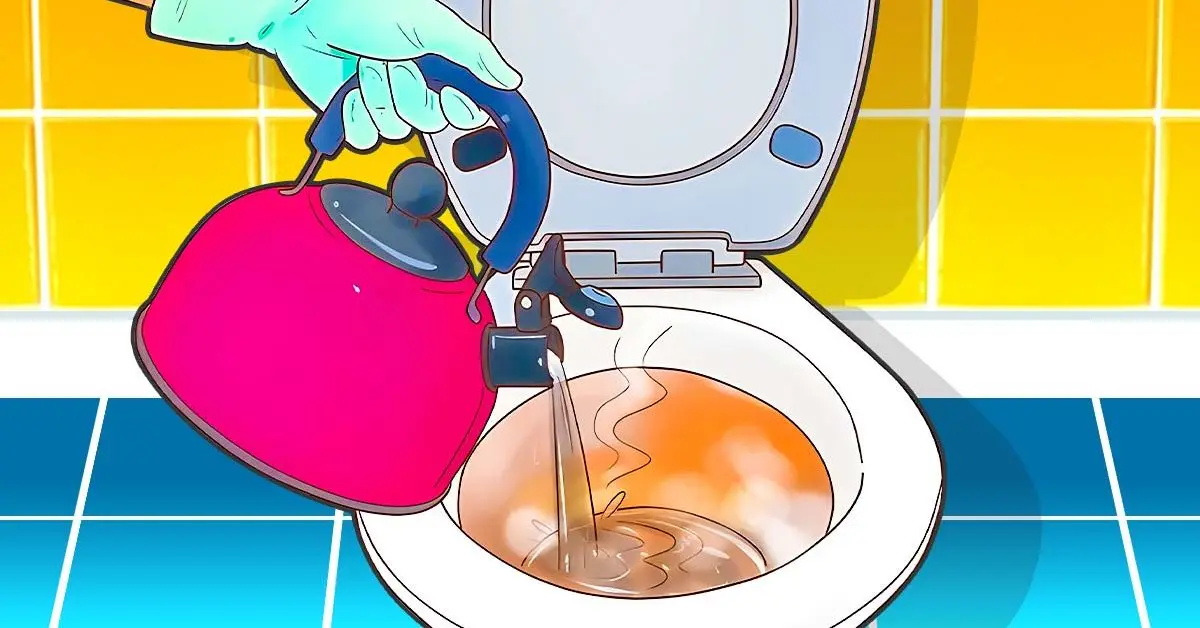 Por que é essencial jogar água quente no vaso sanitário?