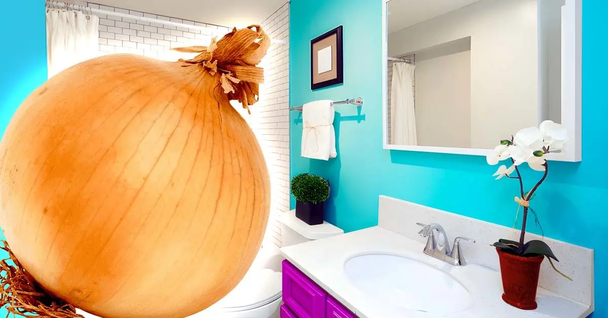 Por que você deveria deixar uma cebola no banheiro durante a noite