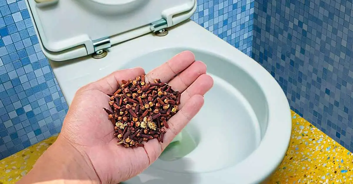 Veja como eliminar o cheiro de urina do banheiro com um truque genial