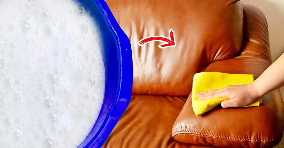 4 dicas para limpar um sofá de couro