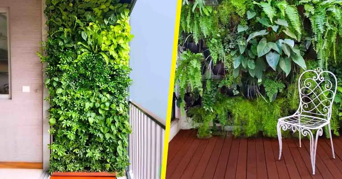 Veja como criar facilmente uma parede verde em qualquer espaço