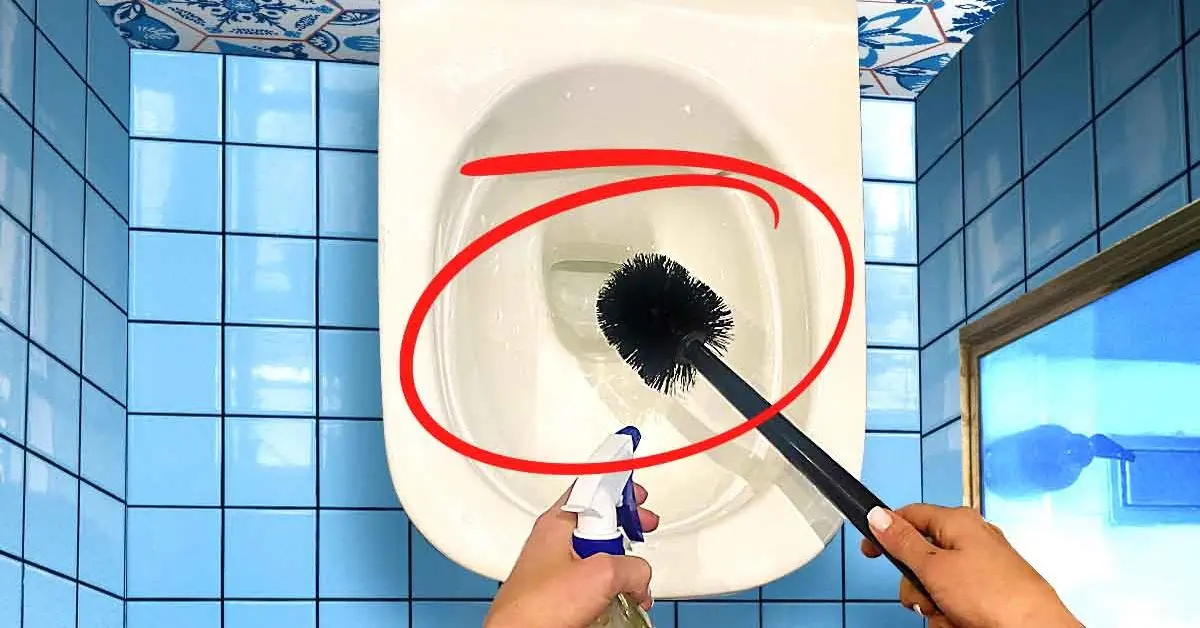 Como limpar e desinfetar completamente a escova sanitária?