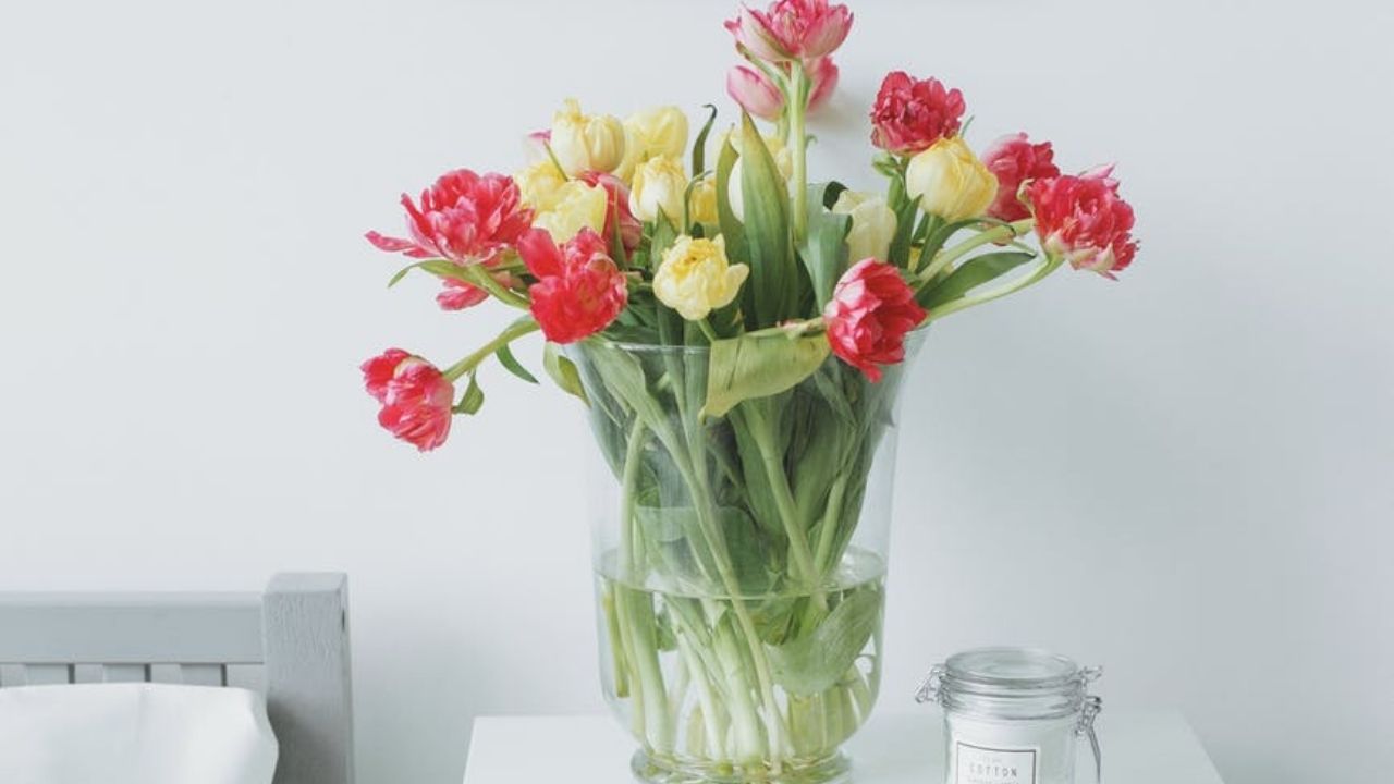 Reviva suas flores desbotadas com este truque simples