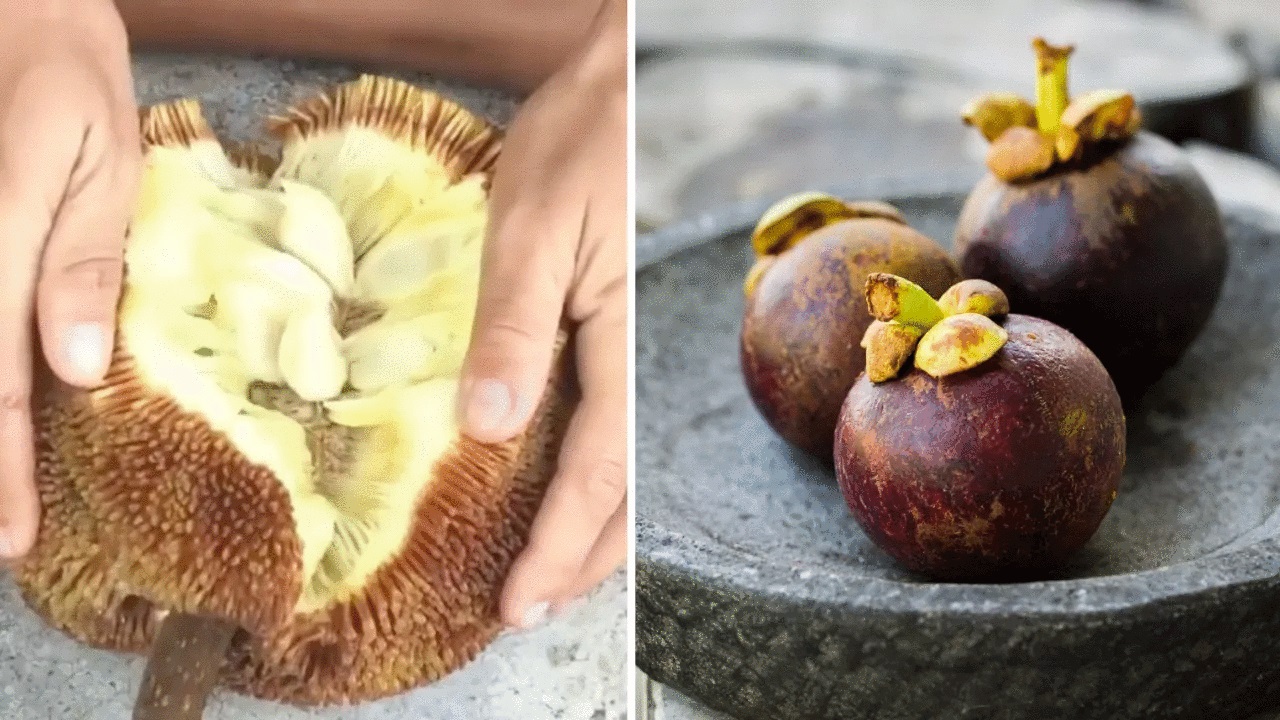 As 5 frutas mais lindas que você já viu no mundo