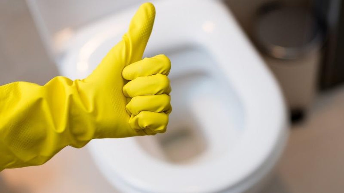 Revolutionize a limpeza do seu banheiro com este método inovador