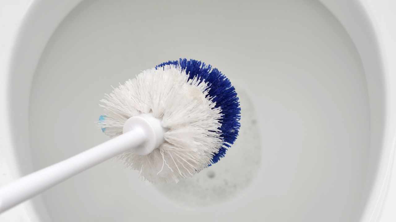 Com este método a escova sanitária estará sempre limpa