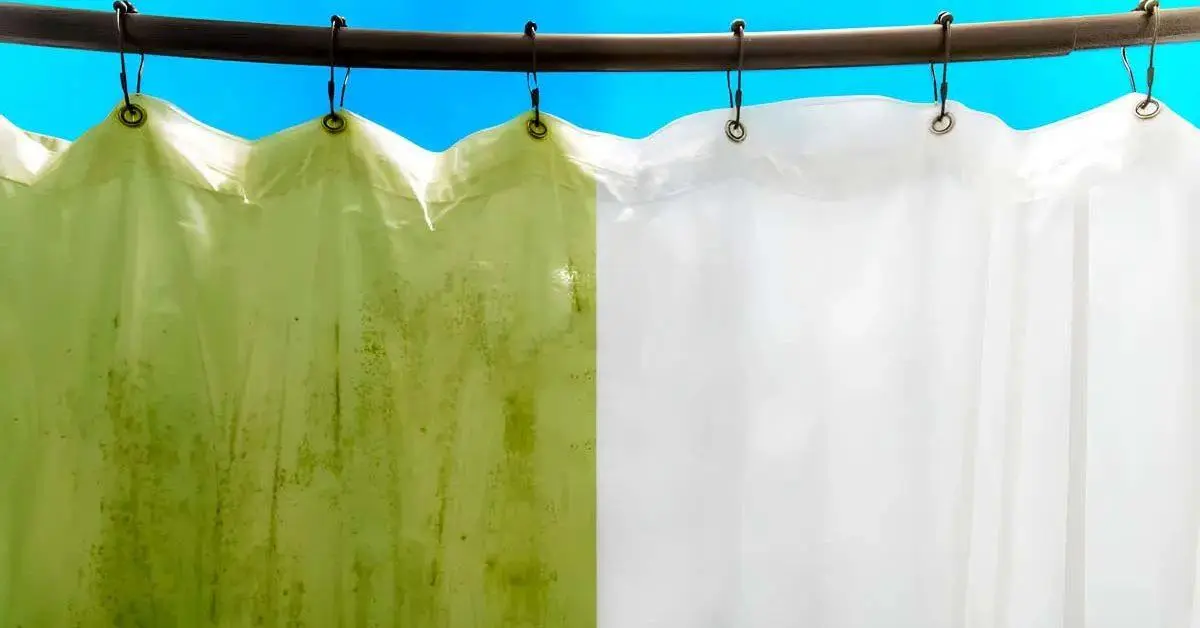 Como limpar corretamente as cortinas do chuveiro?