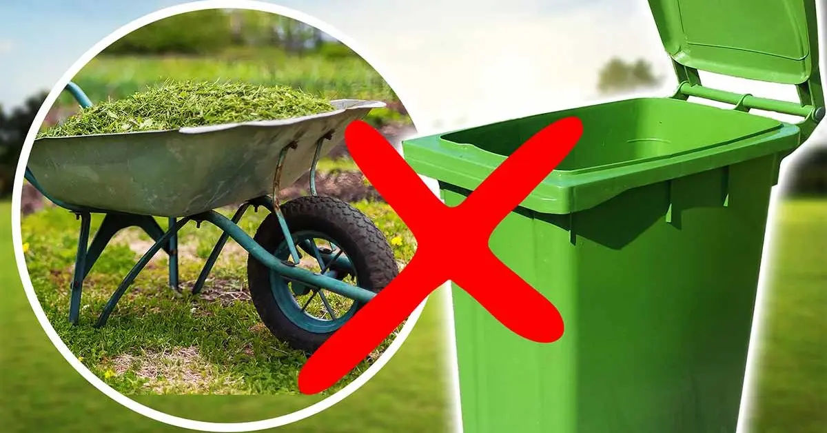 3 dicas para reaproveitar a grama e ter um espaço verde mais ecológico