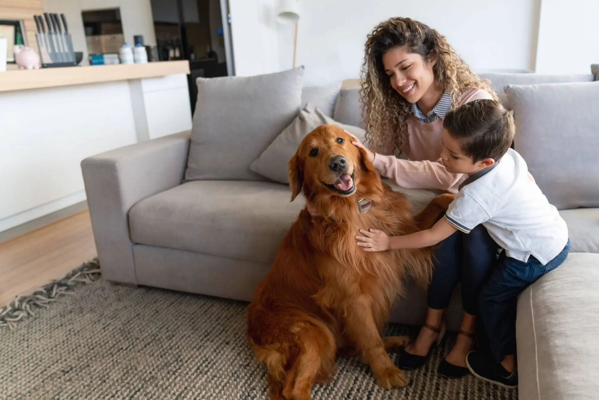 Pets em casa: saiba quais são os cuidados necessários