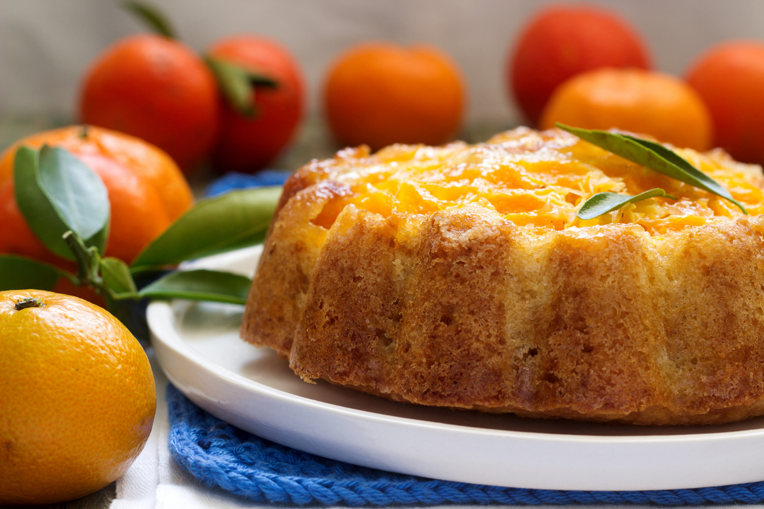 Delicie-se com um bolo de laranja e queijo: a mistura perfeita