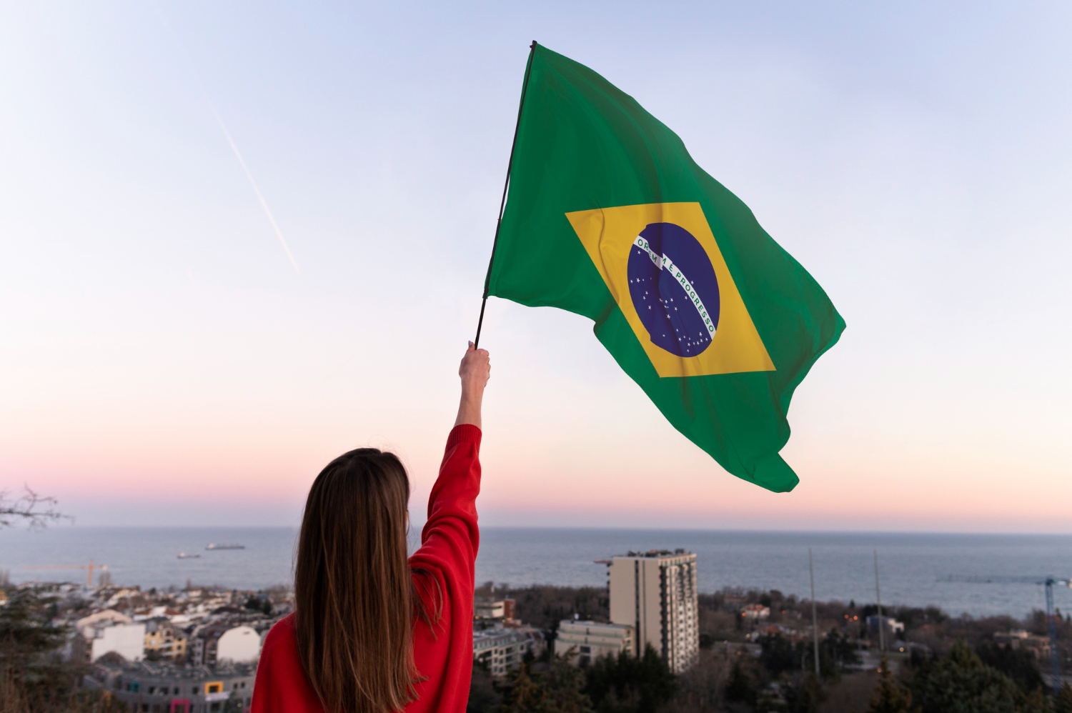 Brasil em balanço: um ano de reconstrução e desafios sob a liderança de Lula