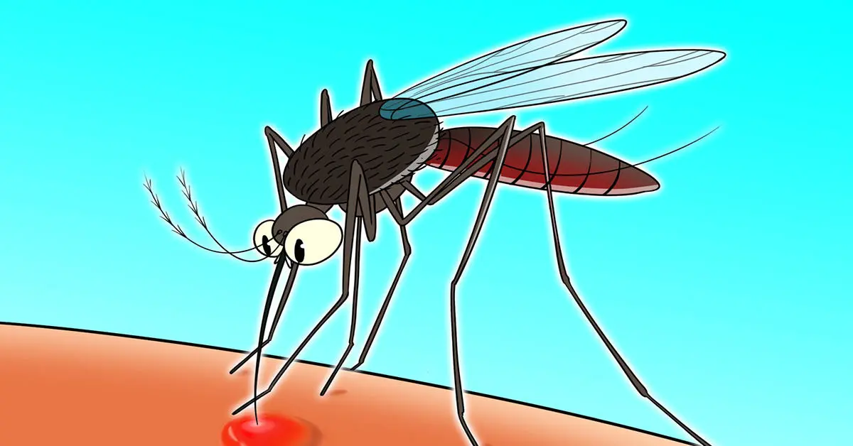 5 truques caseiros que farão a coceira de picada de mosquito desaparecer em segundos