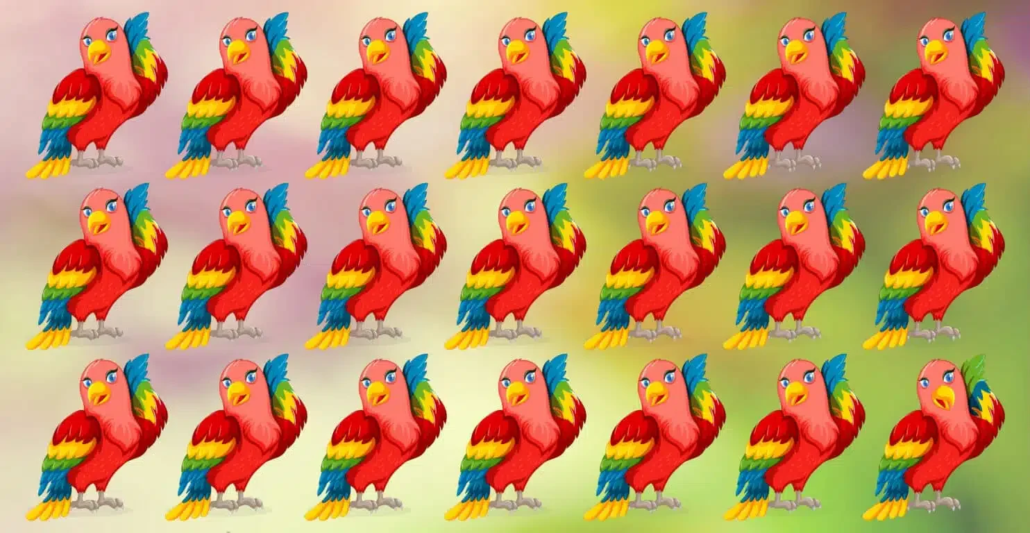 Encontre o papagaio diferente em menos de 30 segundos!