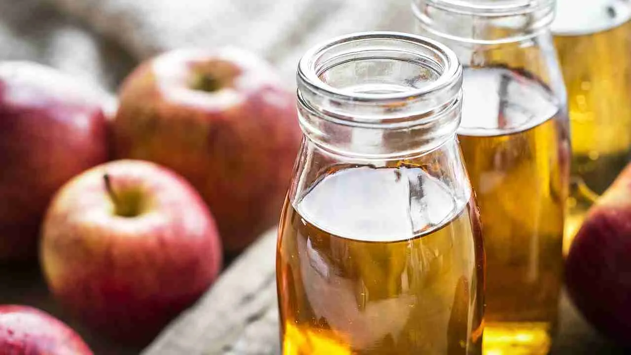 Como eliminar moscas da fruta com vinagre de cidra de maçã