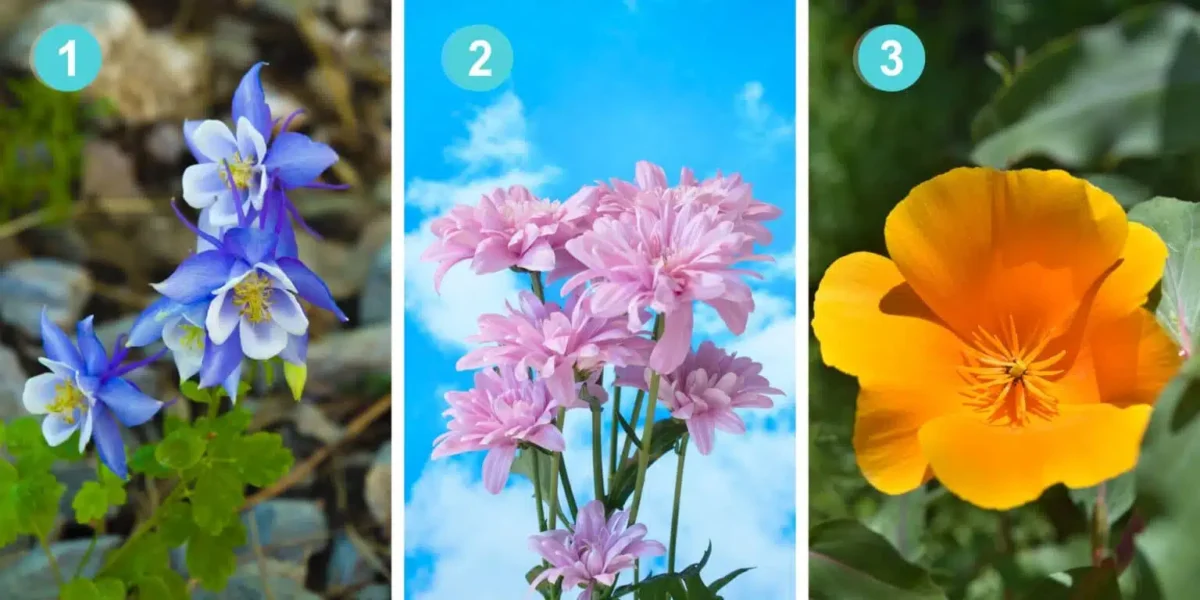 Revele sua força mental escolhendo entre essas 3 flores misteriosas!