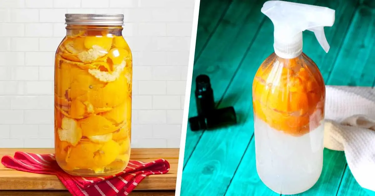 Limpeza caseira com cascas de laranja: um truque incrível que você precisa conhecer
