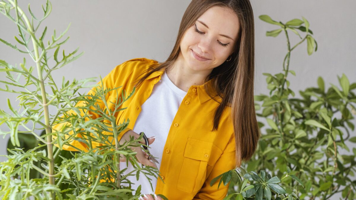 Tudo o que você precisa saber sobre como cuidar de plantas aromáticas
