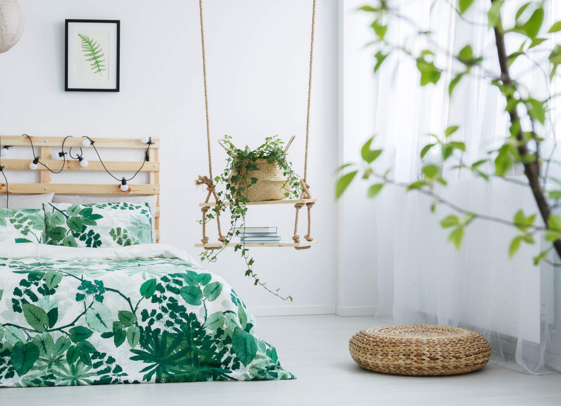5 plantas para um sono tranquilo: decore seu quarto e descanse melhor
