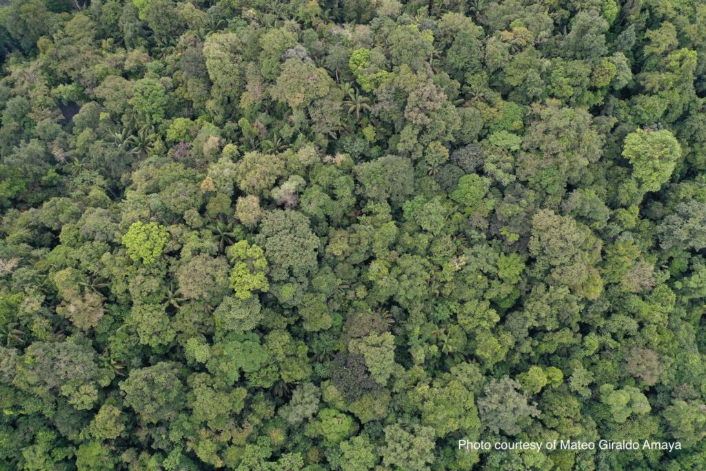 Colômbia avança com plano de US$ 40 bilhões para transição energética e preservação ambiental